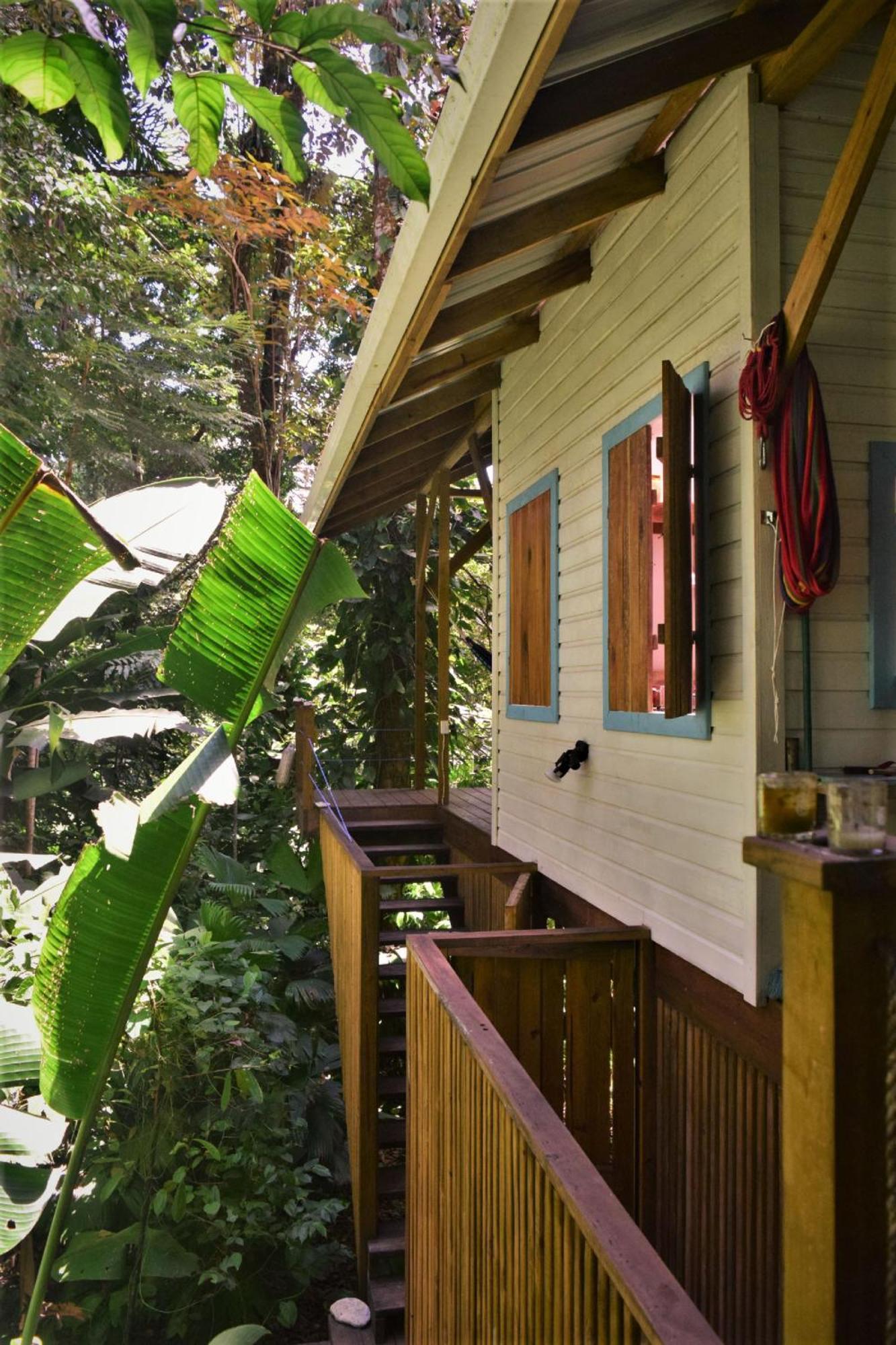Вилла Jungle Paunch Бокас-дель-Торо Экстерьер фото